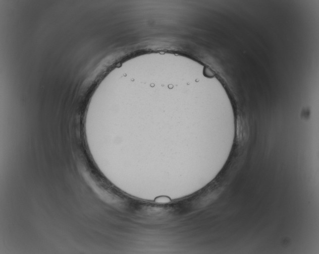 X0000115780205200912241817