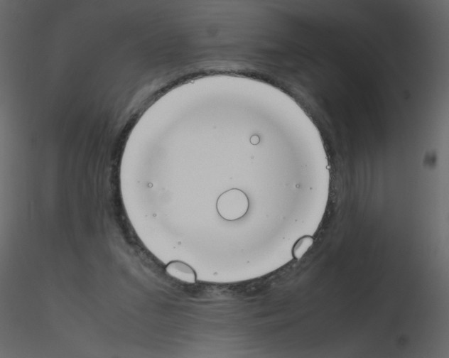 X0000115780207200912241817