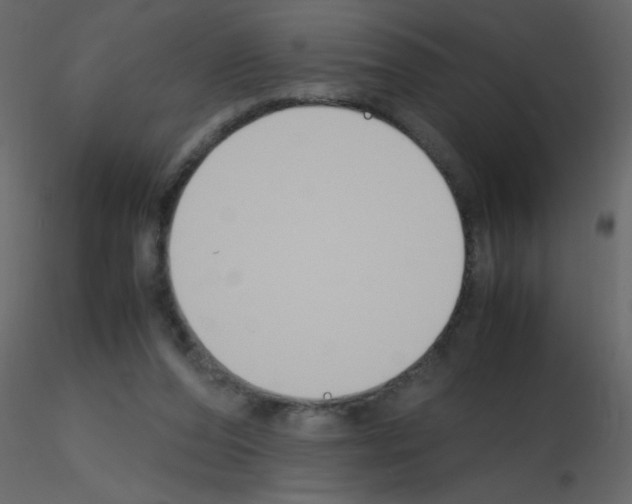 X0000115780208200912241817