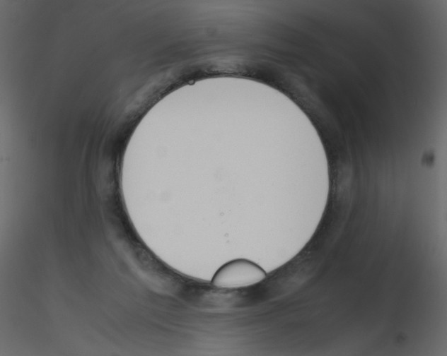 X0000115780213200912241817