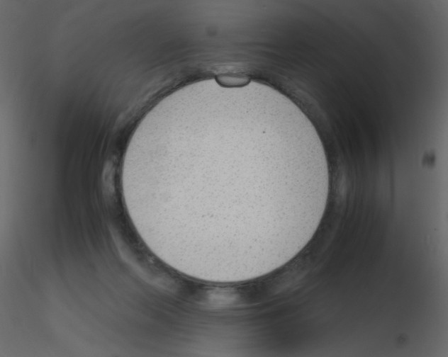 X0000115780214200912241817