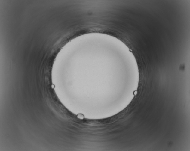 X0000115780215200912241817