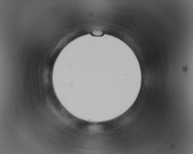 X0000115780216200912241817