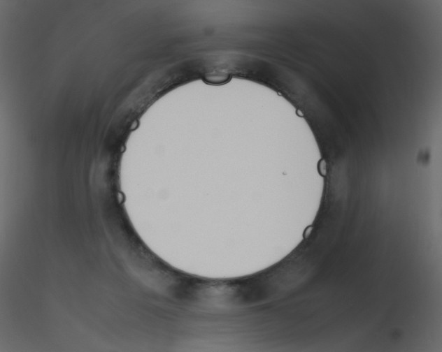 X0000115780217200912241817