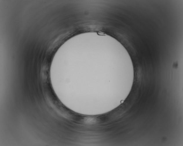 X0000115780218200912241817