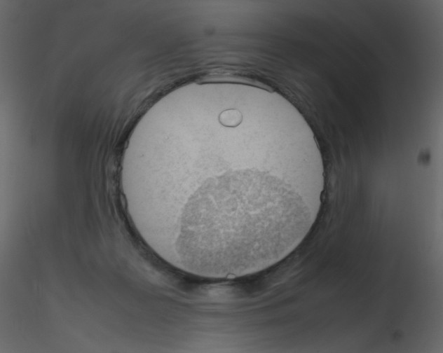 X0000115780219200912241817