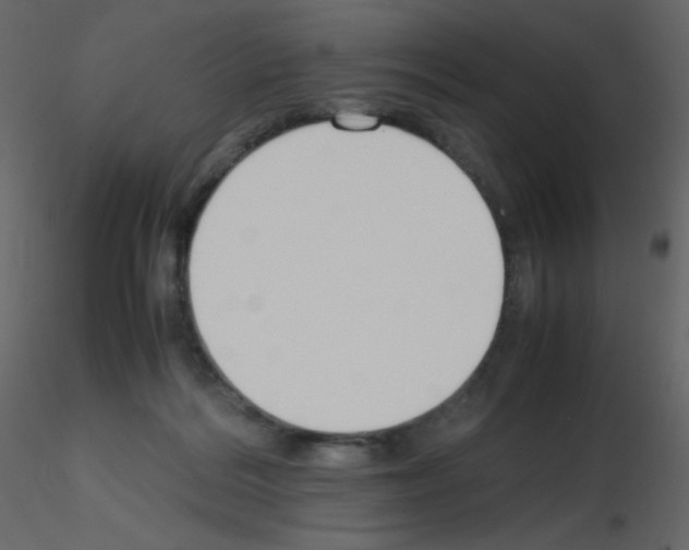 X0000115780220200912241817