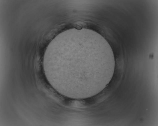 X0000115780223200912241817