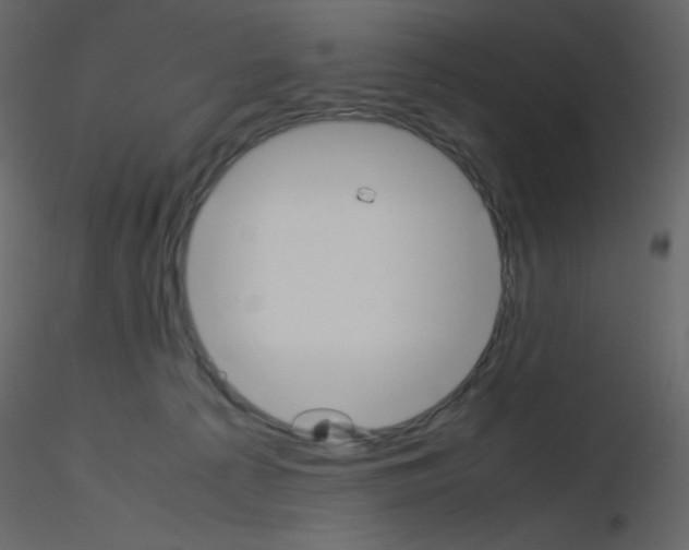 X0000115780225200912241817