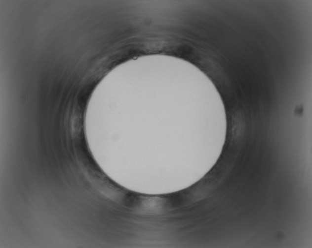 X0000115780226200912241817