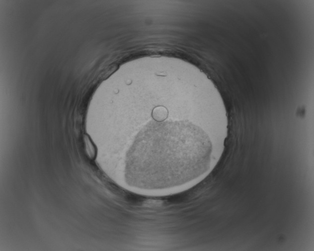 X0000115780227200912241817