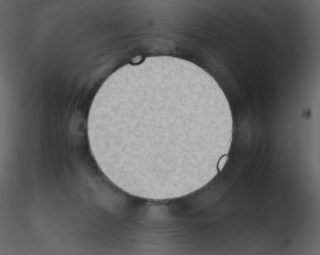 X0000115780228200912241817