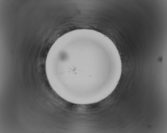 X0000115780229200912241817