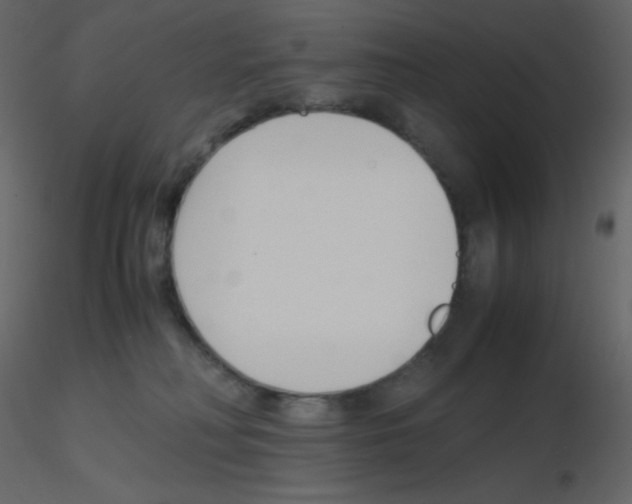 X0000115780230200912241817