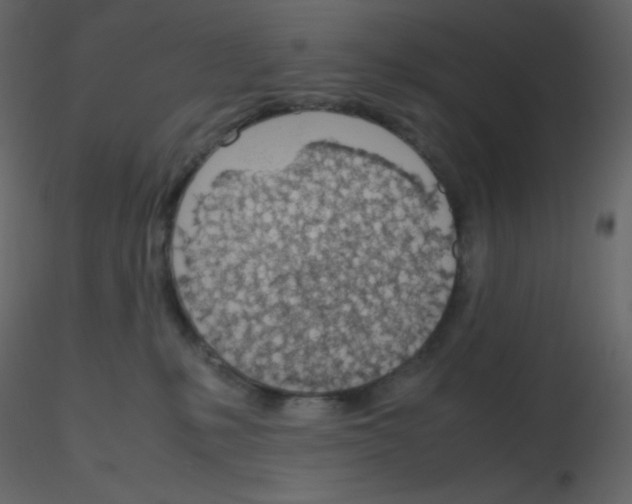 X0000115780231200912241817