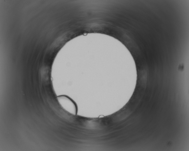 X0000115780232200912241817