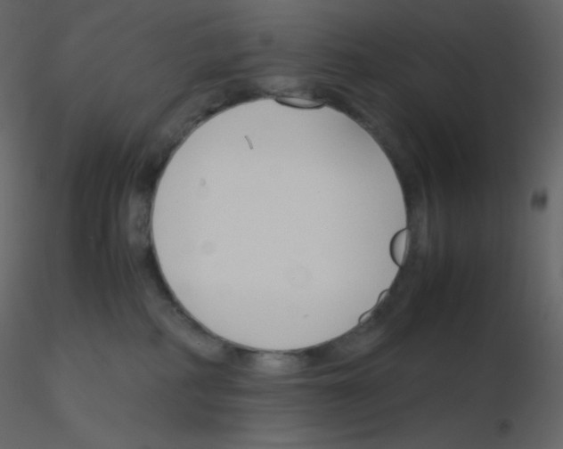 X0000115780234200912241817