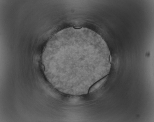 X0000115780235200912241817