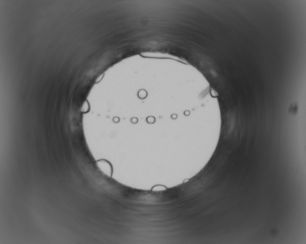 X0000115780236200912241817