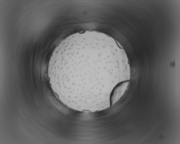 X0000115780238200912241817