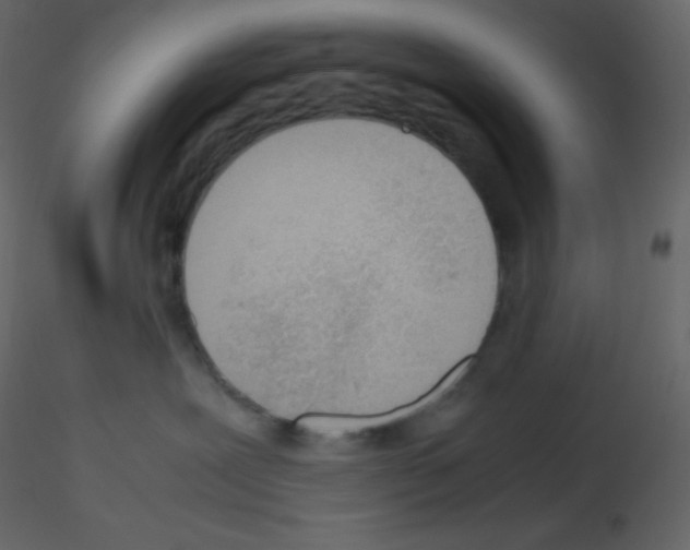 X0000115780239200912241817