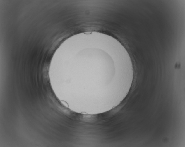 X0000115780240200912241817