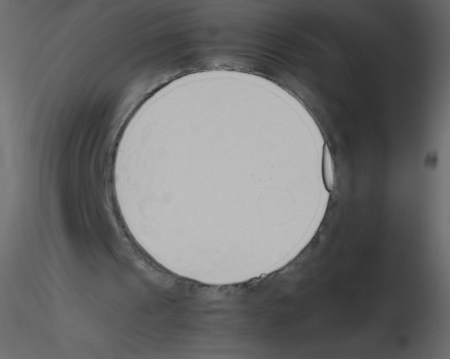 X0000115780241200912241816