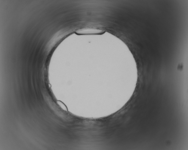 X0000115780242200912241816