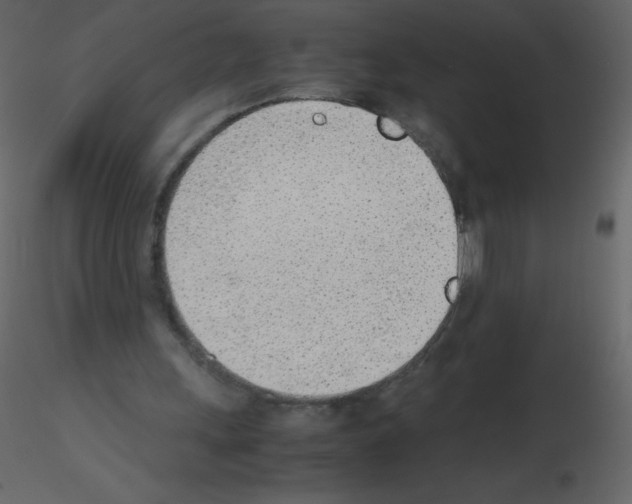 X0000115780243200912241816