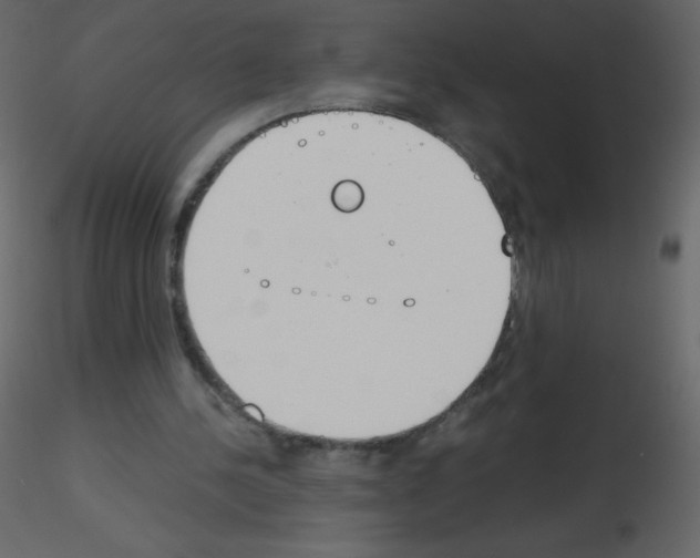 X0000115780244200912241816