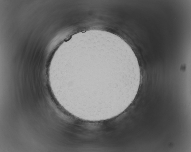 X0000115780245200912241816