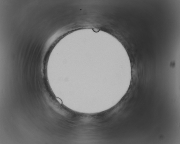 X0000115780246200912241816