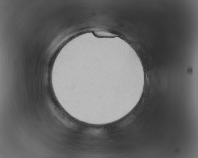 X0000115780247200912241816