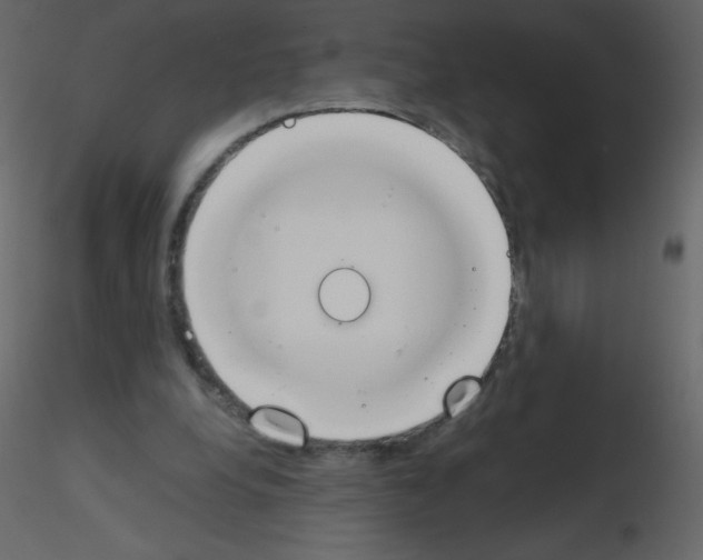 X0000115780248200912241816