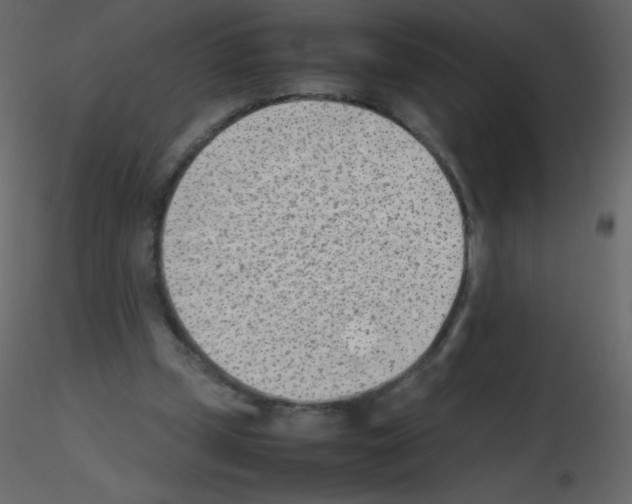 X0000115780249200912241816