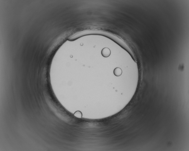 X0000115780250200912241816