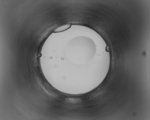 X0000115780251200912241816