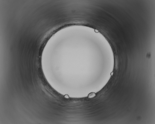 X0000115780252200912241817