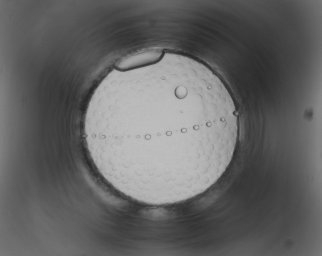 X0000115780253200912241817