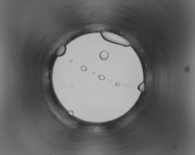 X0000115780254200912241817