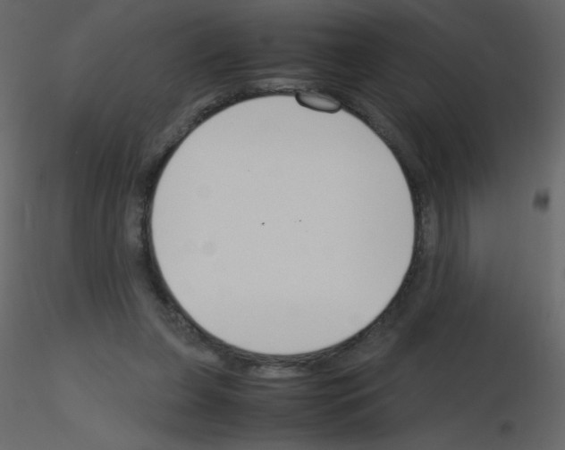 X0000115780255200912241817