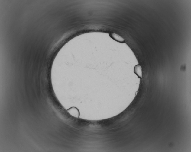 X0000115780256200912241817