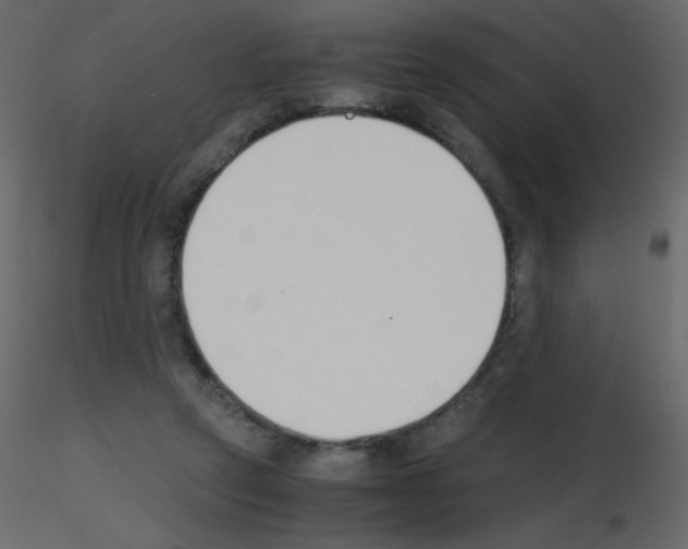 X0000115780257200912241817