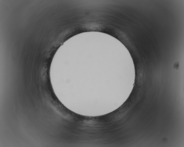 X0000115780259200912241817