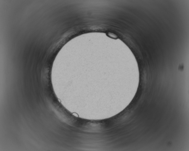 X0000115780260200912241817