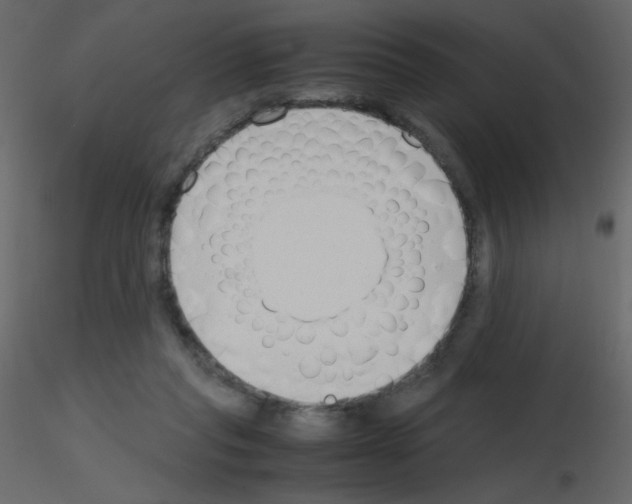 X0000115780261200912241817