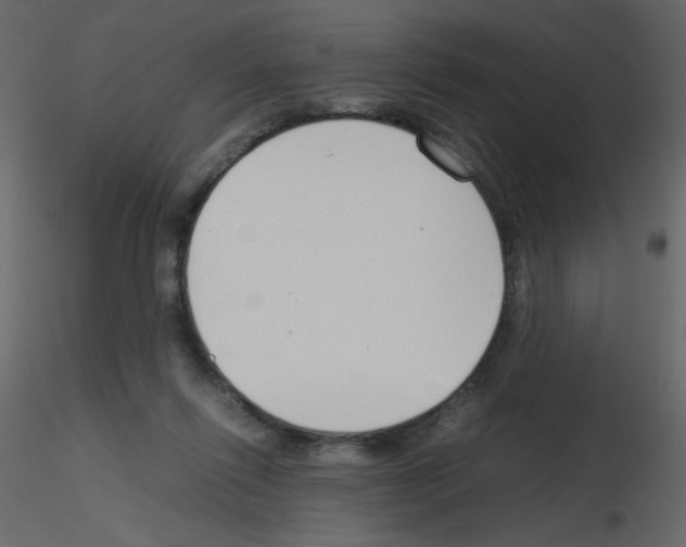 X0000115780262200912241817