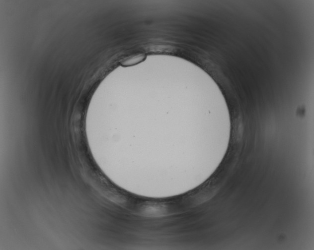 X0000115780263200912241817