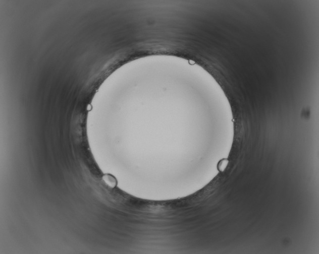 X0000115780264200912241817