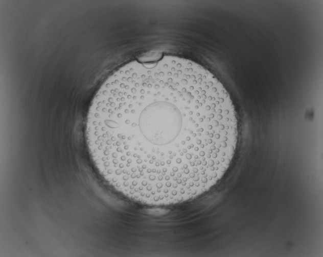 X0000115780265200912241817